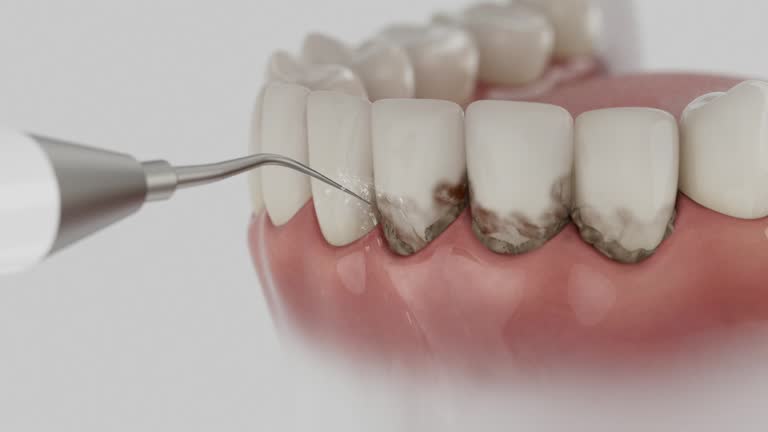 Reliable Dental contractor in Lebanon, PA by Dentist Open Now
